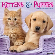 Kittens & Puppies 2026 12 X 12 Wall Calendar (Bookbook - Detail Unspecified)