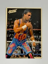 1994 Action Packed WWF #17 1-2-3 KID - X-PAC Rookie RC WWE