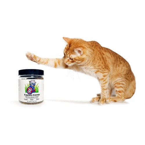 Hierba Orgánica 1.76 Onzas Nepeta Cataria Granja Fresca Muy Potente No Tóxica - Imagen 5 de 11