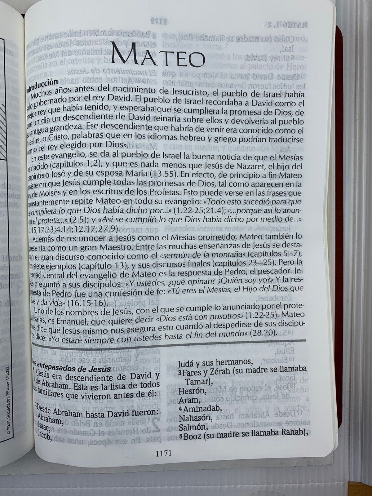 Foto 5 di 8