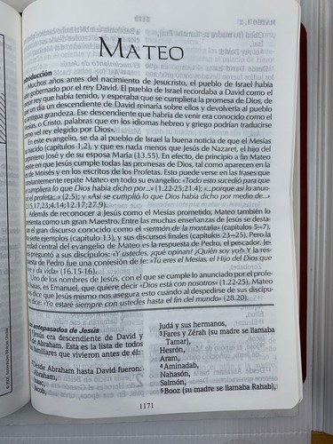 biblia traduccion lenguaje actual Letra Gigante 14 puntos Piel Imitation Café - Foto 5 di 8