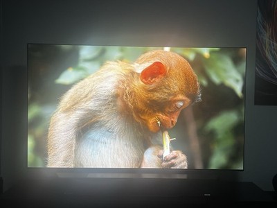 LG OLED77G48LW EVO OLED-Fernseher 77 Zoll, 4K UHD, HDR, Smart TV