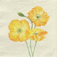 20 Servietten Nachhaltig Gras Yellow Beauties Mohnblume Garten Gelb Deko 33X33Cm