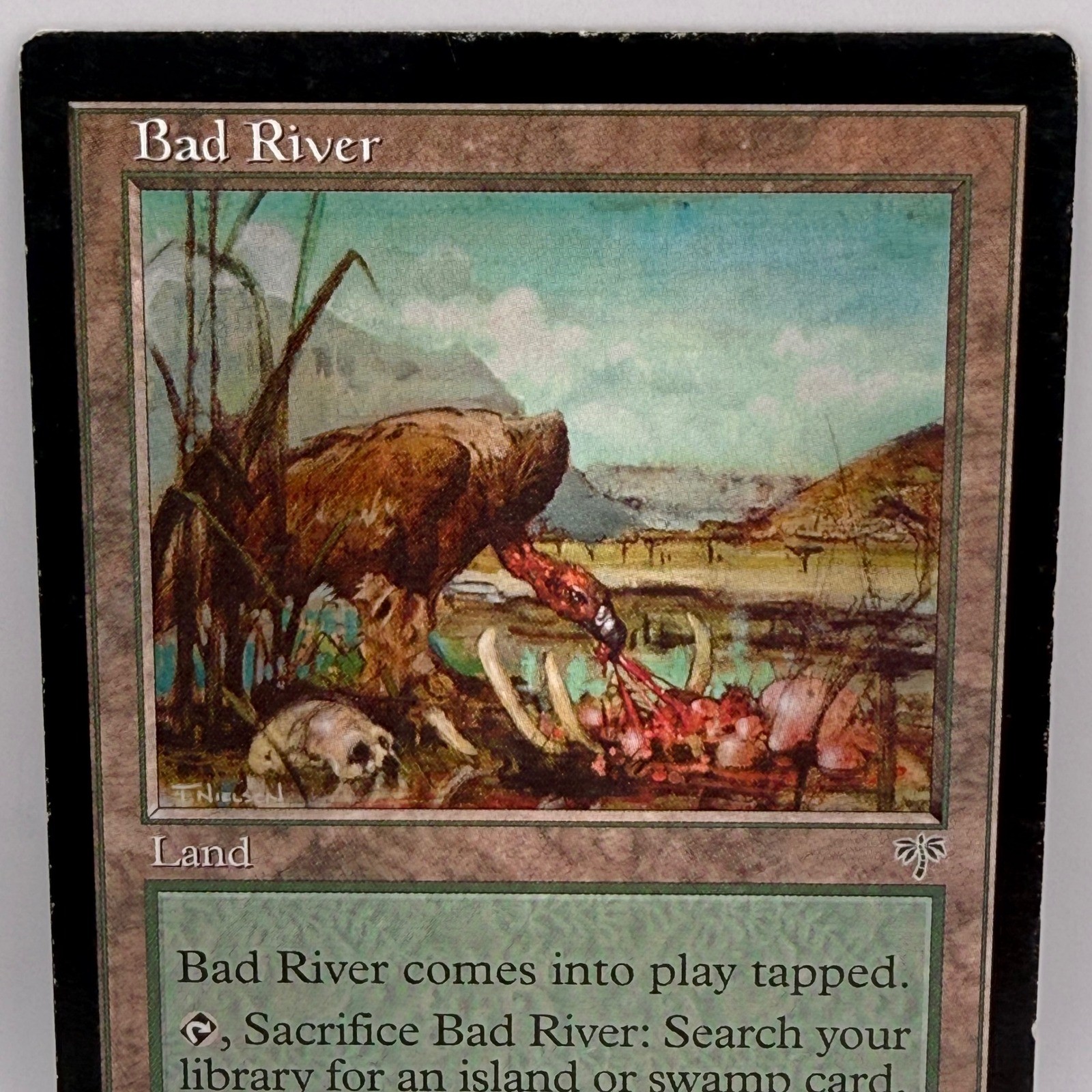 Magic The Gathering Bad River Mirage 1996 Uncommon Land MTG Card Terese Nielsen