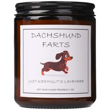 Dachshund Gifts Decor, Dachshund Gifts for Women, Weiner Dog Gift for Women...
