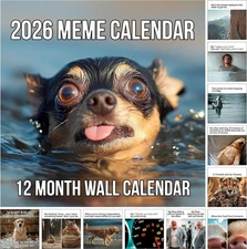 2026 Memes Wall Calendar | 12 Months of Hillarious Memes/Jokes to Keep You Laugh