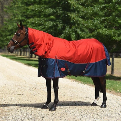 Horse gear for sale qld gumtree Clearance