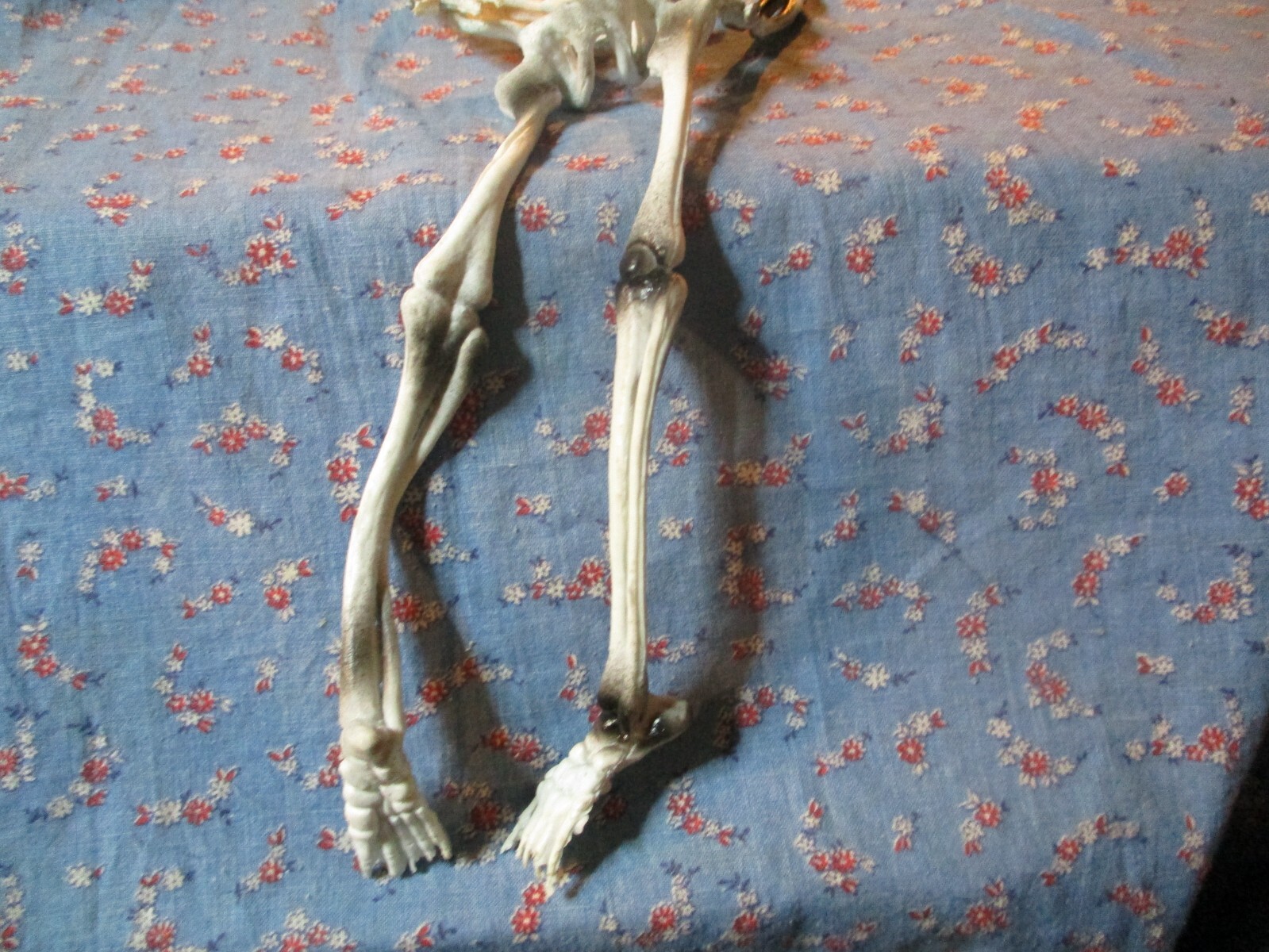 Picture 4 of 5