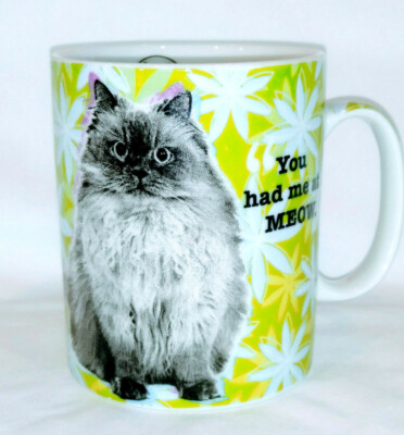 Feline Classics You Had Me At Hello Cat Mug 16 oz Konitz Gray Kitty Green