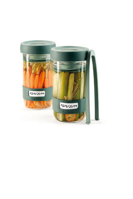 Lekue Pickling 284052 Fermenting Kit, 24 oz, green