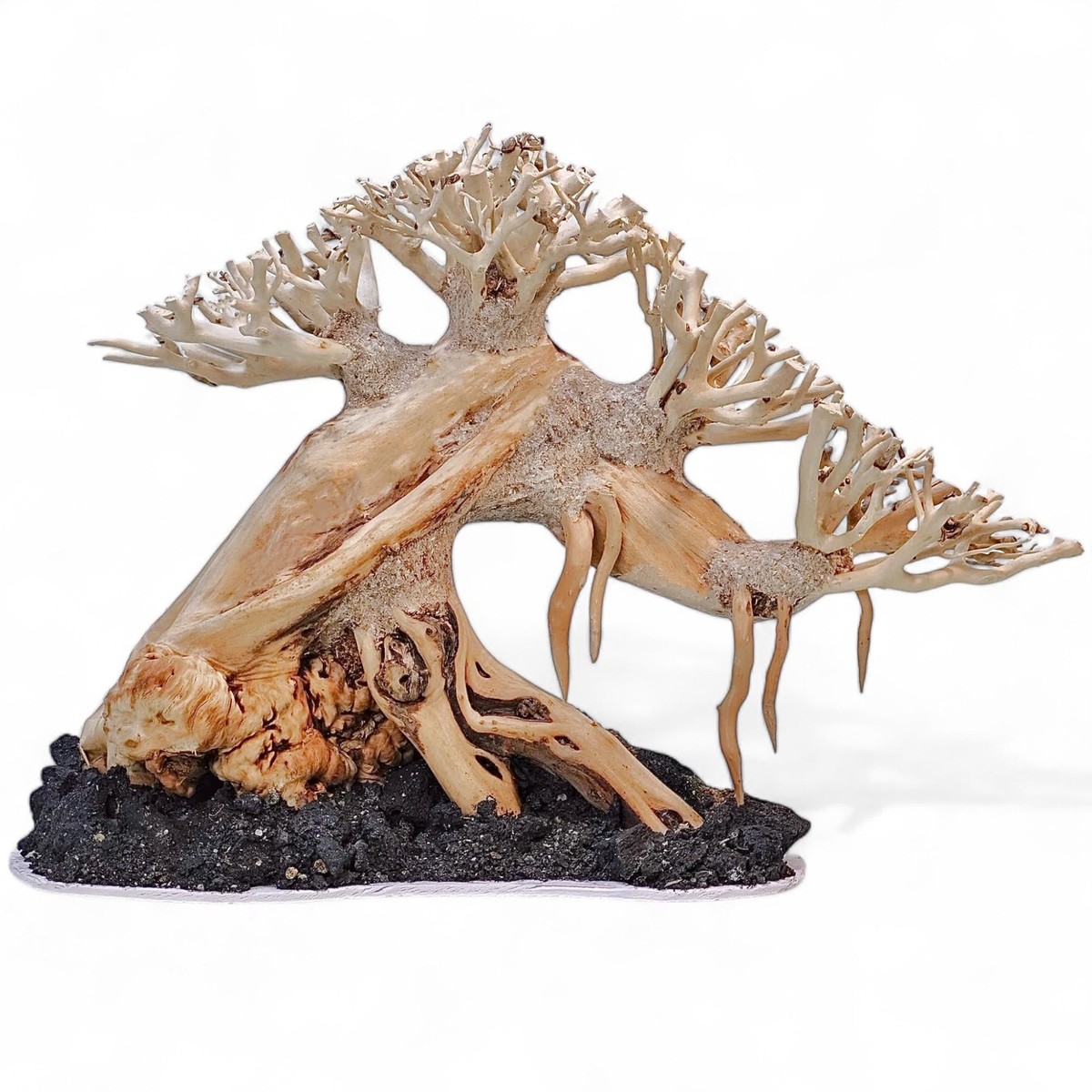Bonsai Driftwood Aquarium Tree for Aquarium Decor Fish Tank Decorations  (10.1... | eBay