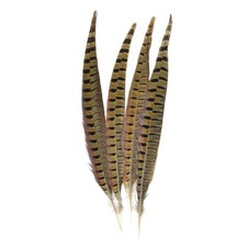 2X( of Nature Ringneck Pheasant Feathers 4/Pcs, Natural K4T4)5329