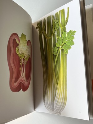 NEW TADASHI OHASHI ggg Books 29 World graphic design series 29