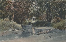 Fremont Lake Michigan MI c1900s Stream Scene Canaan Co. Landscape Postcard