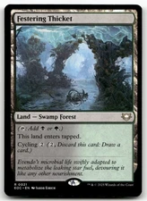 Festering Thicket 21 MTG Commander: Edge of Eternities R NM