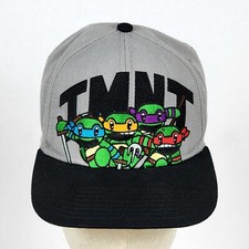Teenage Mutant Ninja Turtles Gray/Black Embroidered Nickelodeon Snapback Hat