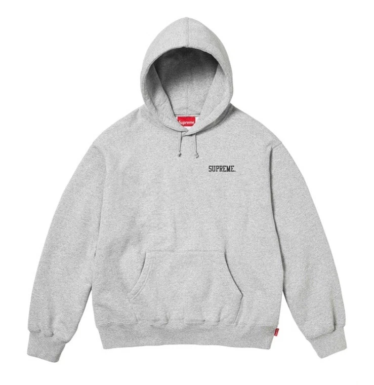 Sweat à capuche gris Supreme Fw24 Anarchy homme taille S en main prêt à expédier !