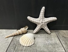 Glazed textured cream small Starfish Nautical Decorative Ornament 10x 10cm