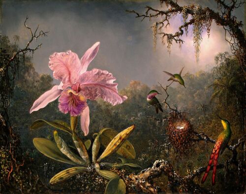 Orchid and Hummingbirds by M. Heade. Wall Art Print ReproductiCanvas Giclee - Afbeelding 1 van 1