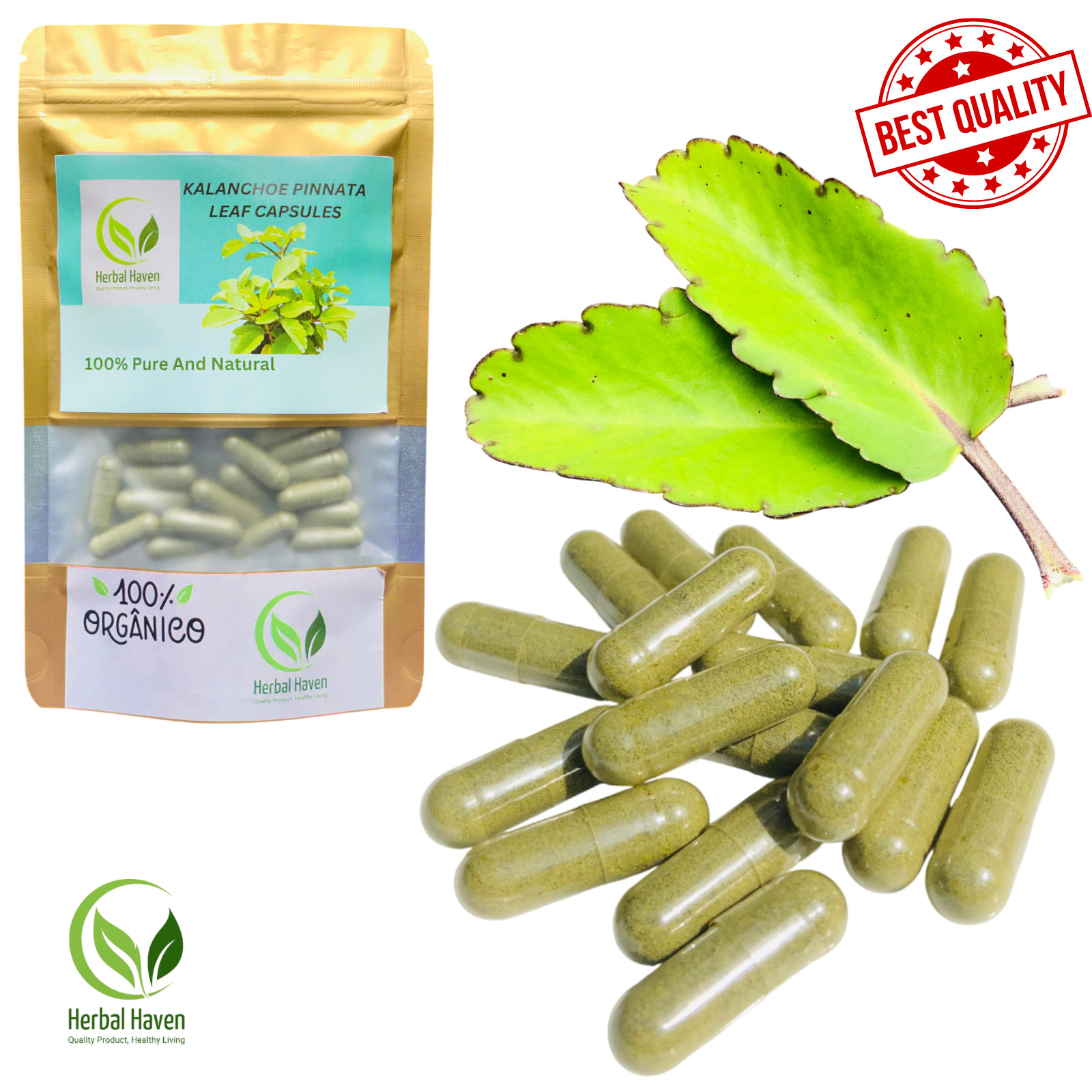 Capsule di foglie di Kalanchoe Pinnata biologiche (600 mg) Bryophyllum pinnatum naturale