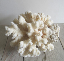 Aquarium CORAL 12 oz Fish Tank Beach Decor Sea Shore 1