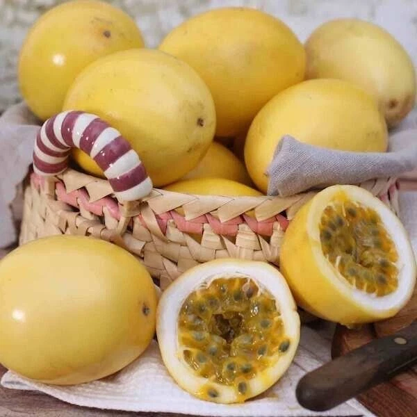 Exotic Passion Fruit 150+ Seedss (Passiflora edulis) var. Yellow granadilla - Image 2 of 4