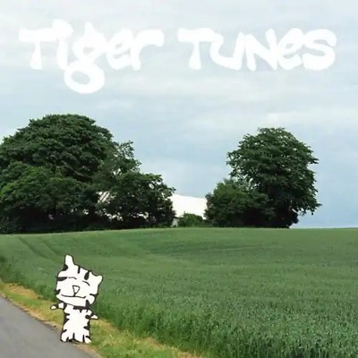 Tiger Tunes - Absolutely worthless compared to important books (2003)