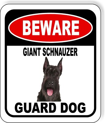 Giant Schnauzer Protection Dog For Sale BEWARE GIANT SCHNAUZER