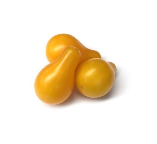 30 Semillas Cherry Bombilla Amarillo