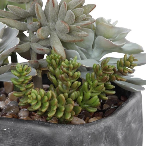 Uttermost Alverio Contemporary Plastic Iron Cement Succulents in Black/Green - Picture 4 of 5