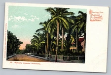 1898 Private Mailing Card Nunanu Avenue Honolulu Hawaii Vintage Postcard