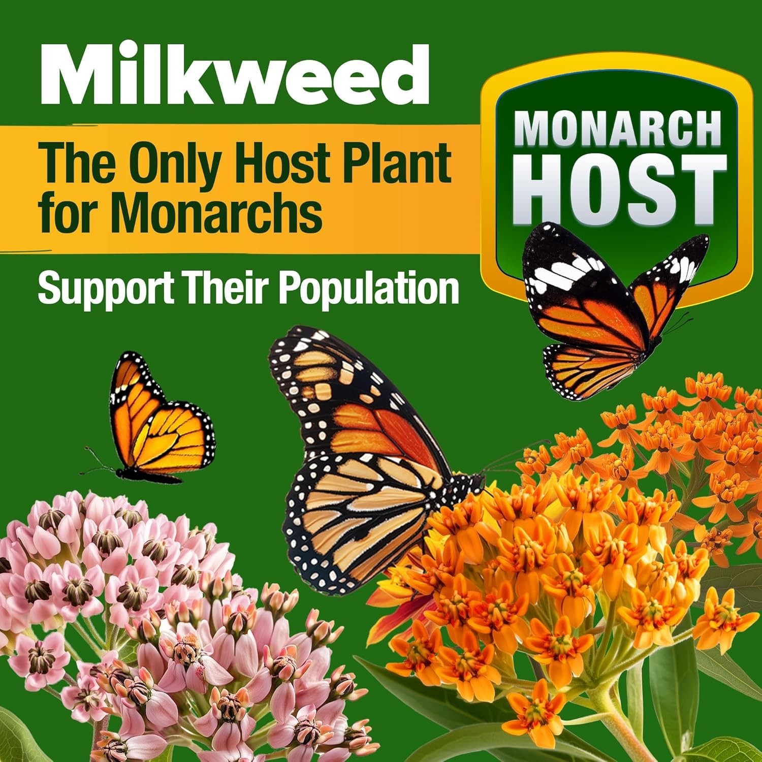 Monarch Butterfly Wildflower Seeds - 2oz Gift Mix for Beautiful Gardens