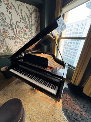 Used Schumann grand piano 1987 G82 - Almost Perfect Condition Price Negotiable