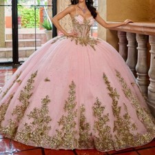 Pink Ball Gown 15 Year Old Quinceanera Dresses Prom Party Dress Gold Applique  