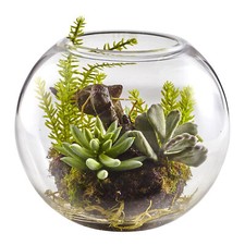 6.5” Mix Succulent Garden W/Glass Vase Well-rounded Nearly Natural Display Decor