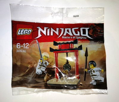 LEGO NINJAGO: Wu-Cru Target Training (30530) Polybag - OVP