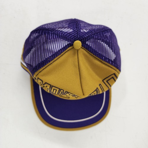 University of Montevallo Falcons Trucker Mesh Snapback Hat Vintage Rare 3 Stripe - Picture 7 of 12