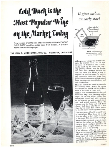 1972 Meier's Print Ad, Cold Duck Most Popular Wine On Market Today Non-Alcoholic