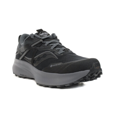 Saucony Men's Ride 15 TR GTX Black/Charcoal Trail Running Shoes