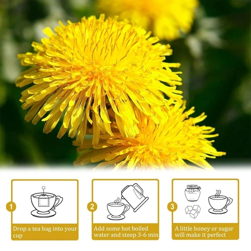 Chicory and Gardenia Tea Dandelion Wolfberry Organic Kidney Liver Chinese Herbal - Picture 5 of 12