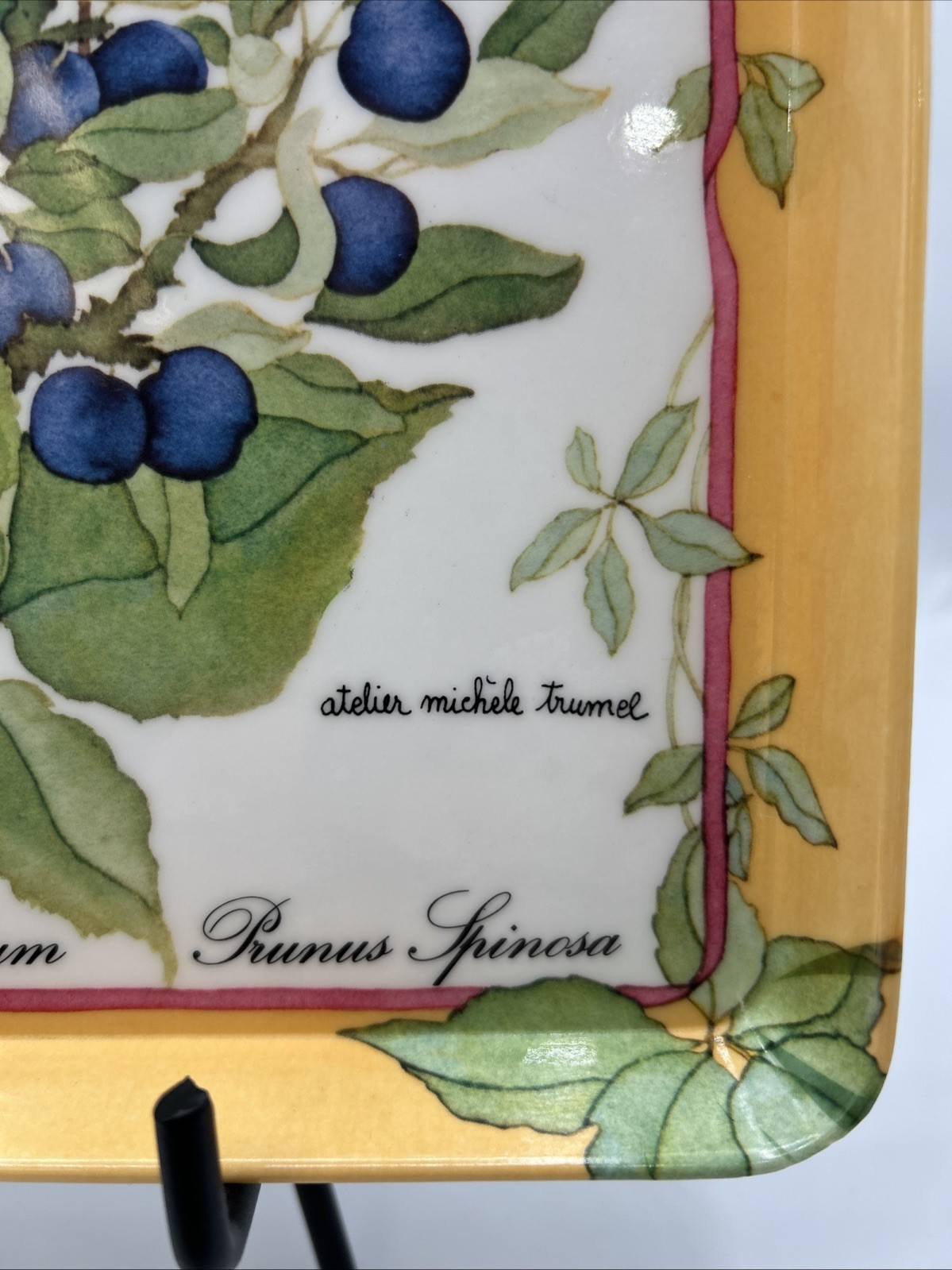 Tray Atelier Michele Trumel Design Imports Melamine Italy 10" x 12" Berry #6