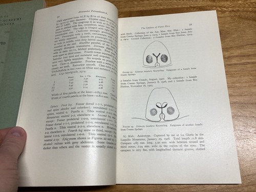1929-30 3 Vols. The Spiders Of Porto Rico - Connecticut Academy Transactions - Picture 15 of 17