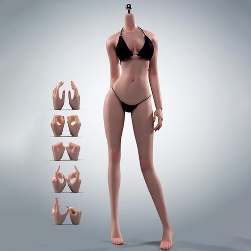 T303P 1/6 Super Flexible Seamless Body Normal Skin 12" Female Action Figure Toue - Picture 13 of 24