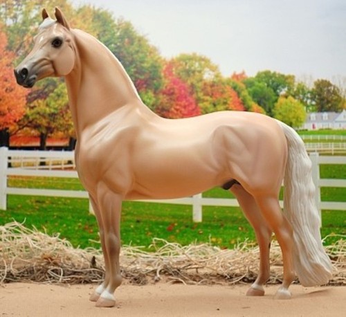Peter Stone Trad Santa Fe Morgan DAH Pretty Palomino