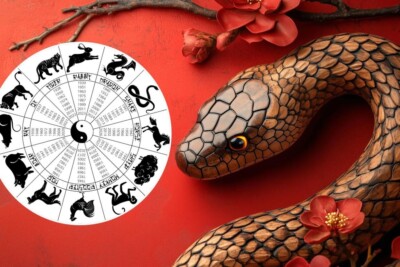 2025 Chinese New Year - Year of the Wood Snake - 4x6 Glossy Printed Photo