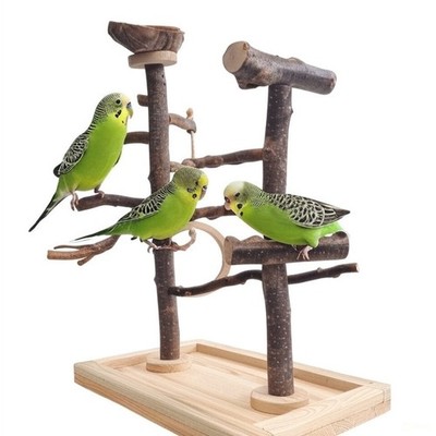 Kletterbaum ''Omega'' Tischfreisitz 60cm hoch, Finken Sittiche, Vogelspielplatz