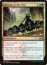 MTG magic 1x Rhythm of the Wild (M/NM) Ravnica Allegiance