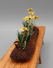 OOAK Delicate Paper Daisy Garden Flowers AC Artisan Dollhouse Miniature 1:12 — photo 5