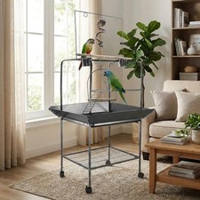 Vogelspielplatz auf Rollen Kletterspielzeug Schaukel Nymphensittich Papagei