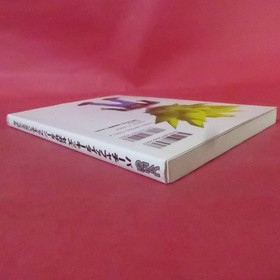 S1-250919Virtua Fighter Kids Sega Saturn Fighting Manual Sega Official